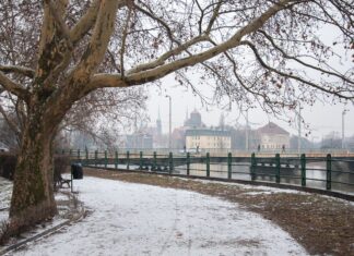 Prognoza pogody dla Wrocławia na tydzień 26 listopada – 1 grudnia
