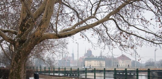 Prognoza pogody dla Wrocławia na tydzień 26 listopada – 1 grudnia
