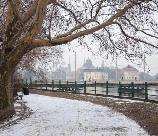 Prognoza pogody dla Wrocławia na tydzień 26 listopada – 1 grudnia