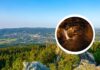 450 lat historii ukrytej pod Górami Izerskimi. Niezwykły jubileusz w dawnej kopalni