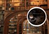 Noc Bibliotek 2026 we Wrocławiu. Będzie można zostać między regałami do nocy