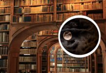 Noc Bibliotek 2026 we Wrocławiu. Będzie można zostać między regałami do nocy