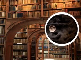 Noc Bibliotek 2026 we Wrocławiu. Będzie można zostać między regałami do nocy