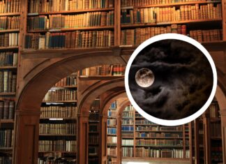 Noc Bibliotek 2026 we Wrocławiu. Będzie można zostać między regałami do nocy