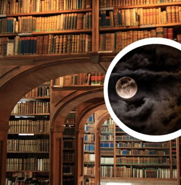 Noc Bibliotek 2026 we Wrocławiu. Będzie można zostać między regałami do nocy