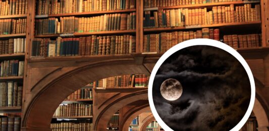 Noc Bibliotek 2026 we Wrocławiu. Będzie można zostać między regałami do nocy