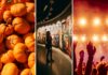 Co robić we Wrocławiu w weekend 9–11 października? Festiwal Dyni, japońskie targi, koncerty i mnóstwo atrakcji!