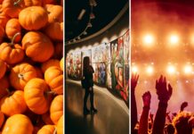 Co robić we Wrocławiu w weekend 9–11 października? Festiwal Dyni, japońskie targi, koncerty i mnóstwo atrakcji!