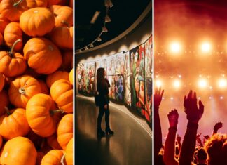 Co robić we Wrocławiu w weekend 9–11 października? Festiwal Dyni, japońskie targi, koncerty i mnóstwo atrakcji!