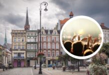 Wielkie święto Dolnego Śląska już w sobotę! Darmowy koncert De Mono, mnóstwo atrakcji i powrót pociągiem gratis