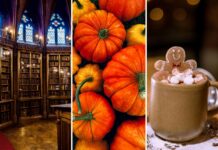 Co robić we Wrocławiu w weekend 16–18 października? Targi, festiwale, spektakle i mnóstwo atrakcji!