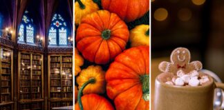 Co robić we Wrocławiu w weekend 16–18 października? Targi, festiwale, spektakle i mnóstwo atrakcji!