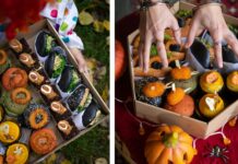 Czarne burgery, mroczne BAO i słodkie niespodzianki! Wrocławska Manufaktura przygotowała boxy na Halloween