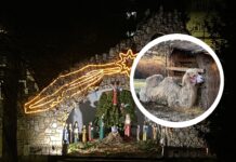 Żywa szopka we Wrocławiu – od blisko 30 lat!