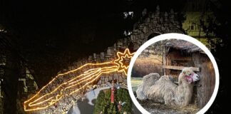 Żywa szopka we Wrocławiu – od blisko 30 lat!