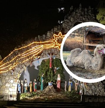 Żywa szopka we Wrocławiu – od blisko 30 lat!
