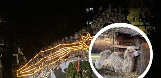 Żywa szopka we Wrocławiu – od blisko 30 lat!