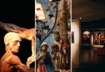 Jakie wystawy odwiedzić w styczniu 2026 roku we Wrocławiu?