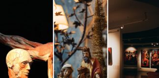 Jakie wystawy odwiedzić w styczniu 2026 roku we Wrocławiu?