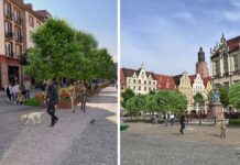 Wrocławski Rynek zyska nowe, zielone oblicze – metamorfoza już w przyszłym roku!