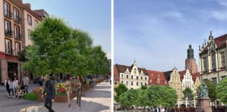 Wrocławski Rynek zyska nowe, zielone oblicze – metamorfoza już w przyszłym roku!