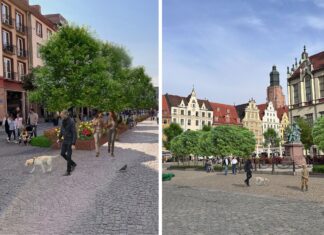 Wrocławski Rynek zyska nowe, zielone oblicze – metamorfoza już w przyszłym roku!
