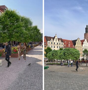 Wrocławski Rynek zyska nowe, zielone oblicze – metamorfoza już w przyszłym roku!
