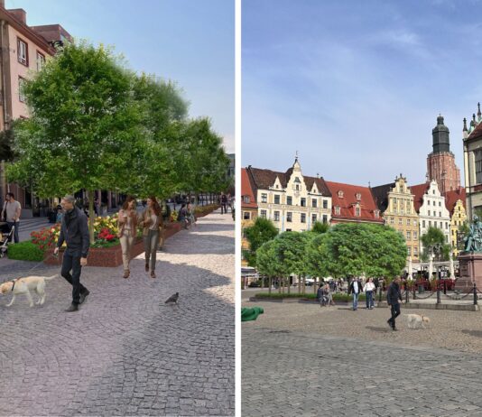 Wrocławski Rynek zyska nowe, zielone oblicze – metamorfoza już w przyszłym roku!