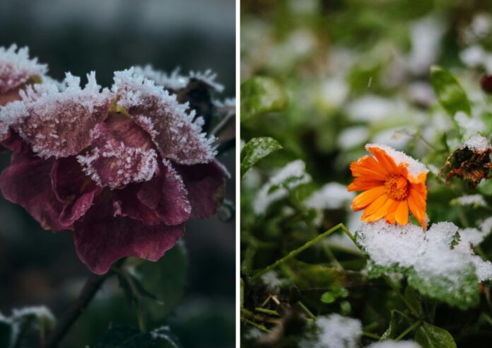 w Terminal event Center we Wrocławiu