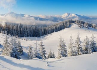 Kiedy są ferie zimowe na Dolnym Śląsku w 2026 roku?