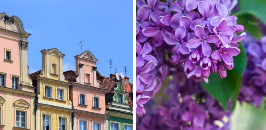 Majówka 2025 we Wrocławiu, co robić? – lista wydarzeń