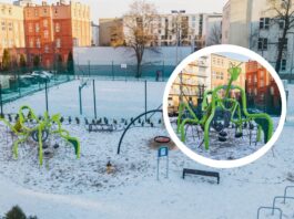 Gigantyczna modliszka na Przedmieściu Oławskim. Nowy plac zabaw już otwarty!