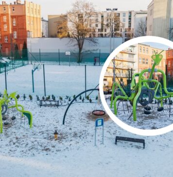 Gigantyczna modliszka na Przedmieściu Oławskim. Nowy plac zabaw już otwarty!