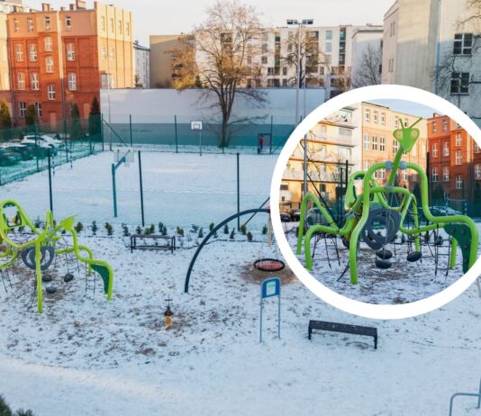Gigantyczna modliszka na Przedmieściu Oławskim. Nowy plac zabaw już otwarty!