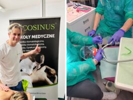 Dlaczego szkoła policealna jest dobrą alternatywą dla studiów?