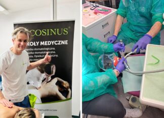 Dlaczego szkoła policealna jest dobrą alternatywą dla studiów?