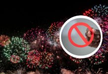 Wrocław wprowadza całoroczny zakaz używania fajerwerków