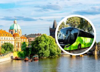 FlixBus rusza z wyjątkową ofertą na wiosnę – bilety za 19,99 zł!