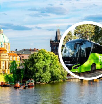 FlixBus rusza z wyjątkową ofertą na wiosnę – bilety za 19,99 zł!