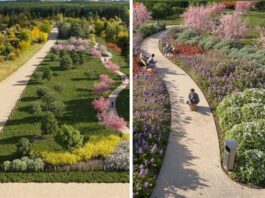 Stabłowicka Wyspa Rodos – nowa zielona przestrzeń rekreacyjna we Wrocławiu