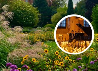 Wyjątkowy koncert w blasku świec w Ogrodzie Botanicznym we Wrocławiu