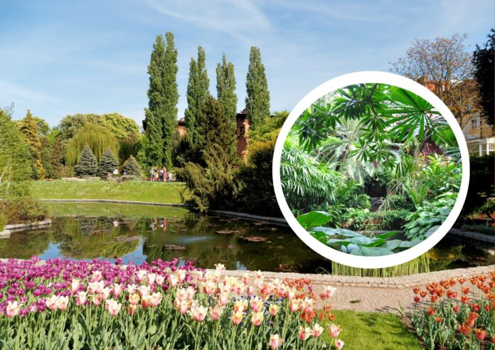 w Terminal event Center we Wrocławiu