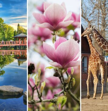 Atrakcje we Wrocławiu otwarte w Wielkanoc 2026 – aktualny przewodnik