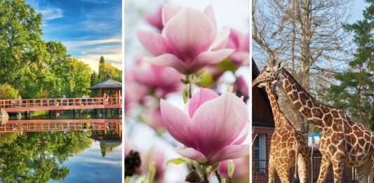 Atrakcje we Wrocławiu otwarte w Wielkanoc 2026 – aktualny przewodnik