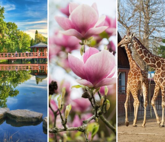 Atrakcje we Wrocławiu otwarte w Wielkanoc 2026 – aktualny przewodnik