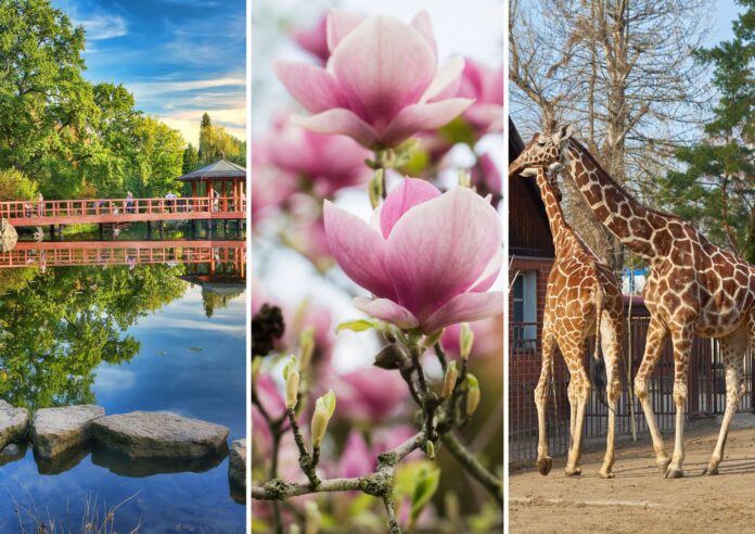 w Terminal event Center we Wrocławiu