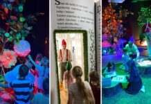 Dom Krasnali we Wrocławiu — niezwykła atrakcja dla dzieci, którą musicie odwiedzić!