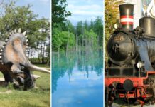 Majówka 2026 z dziećmi w okolicach Wrocławia – gdzie warto się wybrać