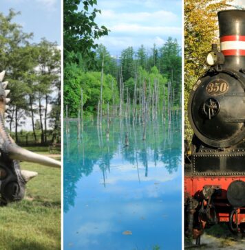 Majówka 2026 z dziećmi w okolicach Wrocławia – gdzie warto się wybrać