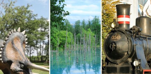 Majówka 2026 z dziećmi w okolicach Wrocławia – gdzie warto się wybrać